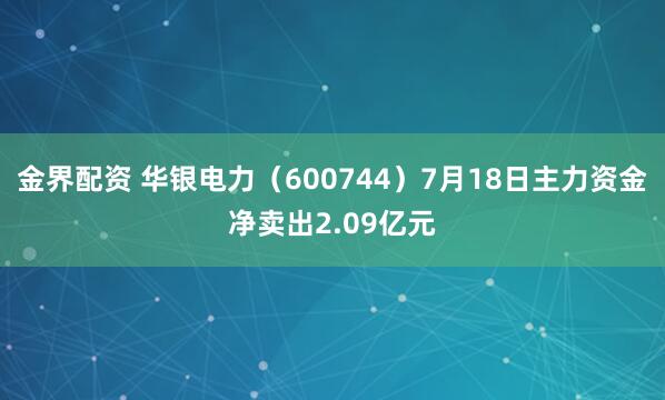 金界配资 华银电力（600744）7月18日主力资金净卖出2.09亿元